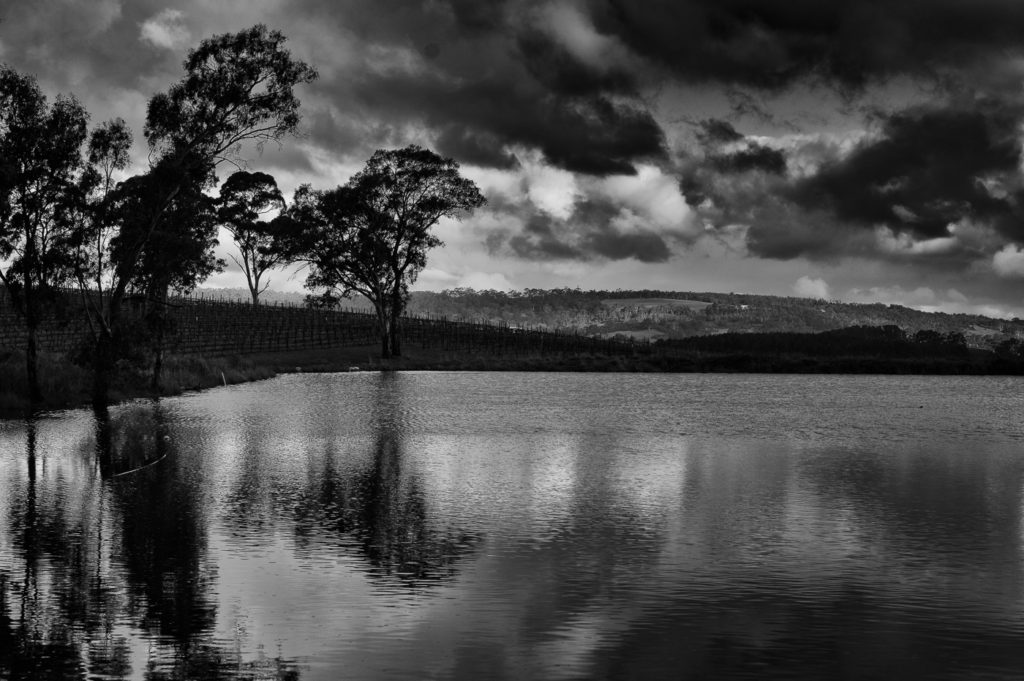 A man-made reservoir. Lobethal, Adelaide Hills.