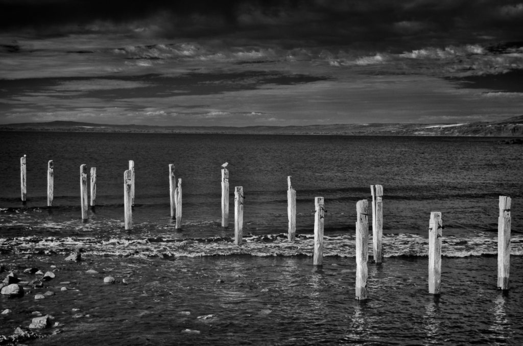 Old pier at Myponga beach, South Australia. Infrared.