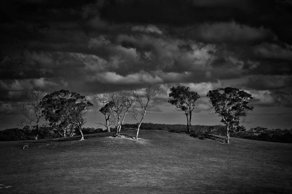The sisters, Adelaide Hills