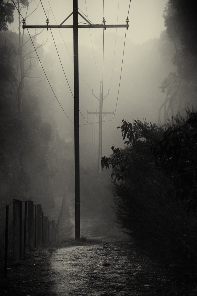 Just up from where I used to live in rural Mylor, South Australia. A very wet day.
