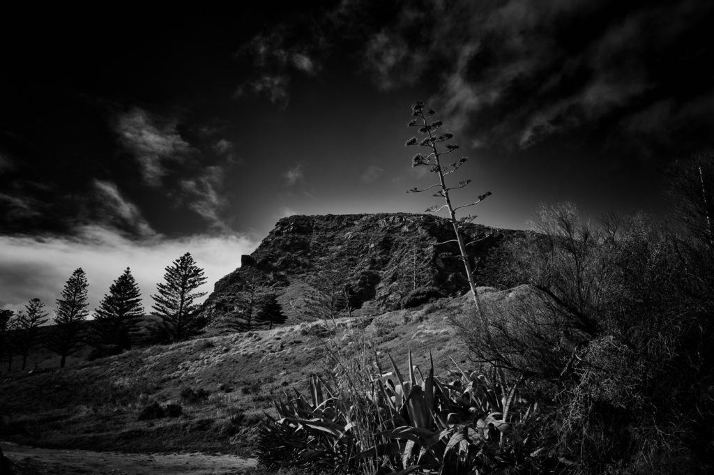 Shelly Beach, near Lady Bay, Fleurieu Peninsula, South Australia