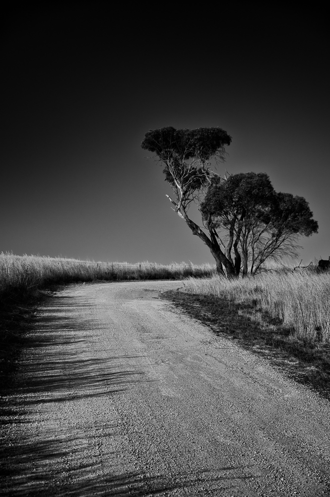 A rural graded dirt road