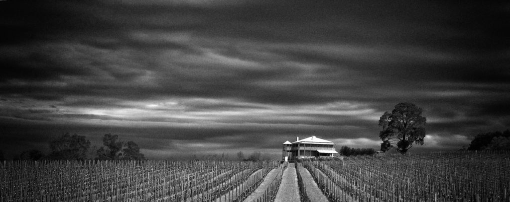 Vineyard and majestic home, Biggs Flat, Adelaide Hills