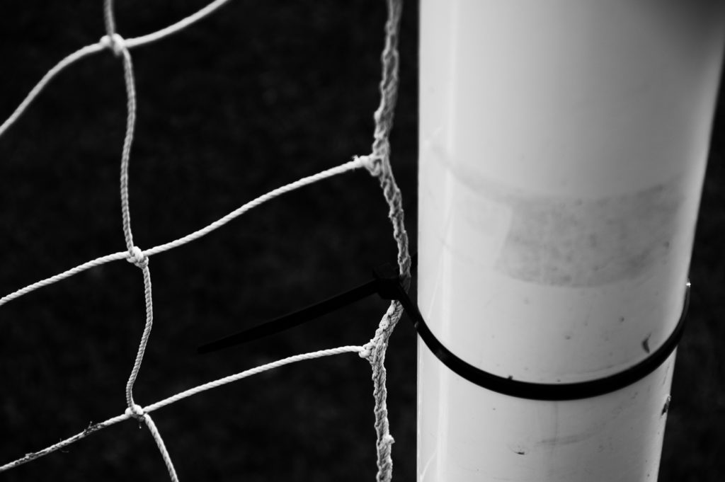 Netting and goal post