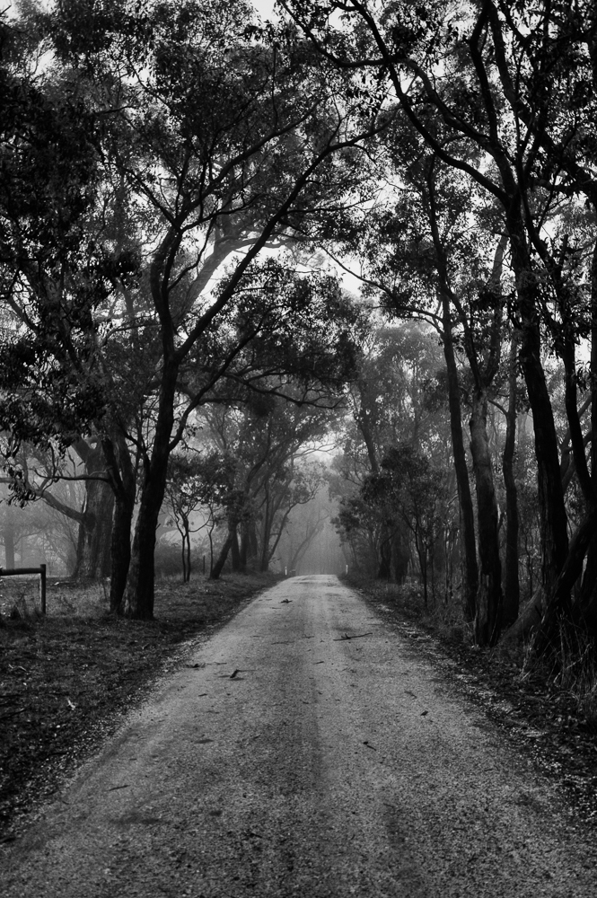 Dirt road to misty horizons