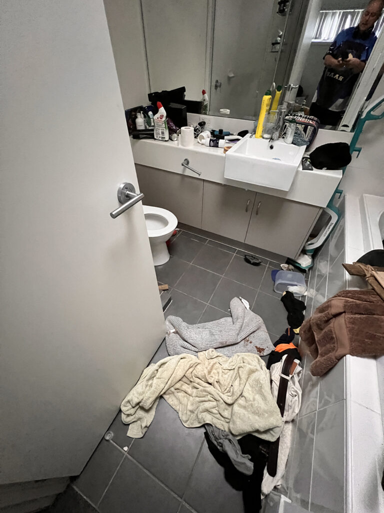 Mitch Vahldieck -- more of the bathroom and toilet, 2023